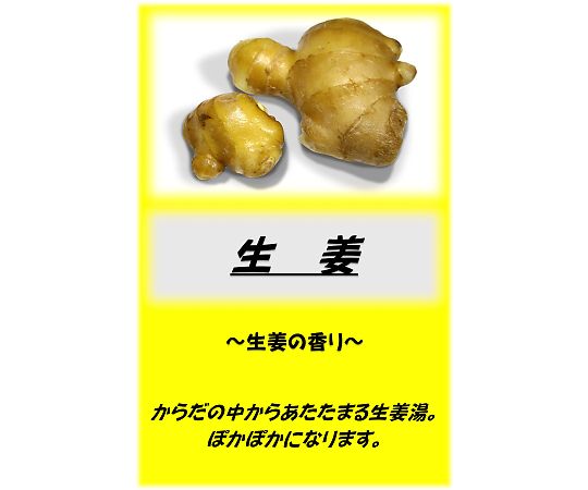 アサヒ商会 アサヒ入浴剤 生姜 10kg 1箱