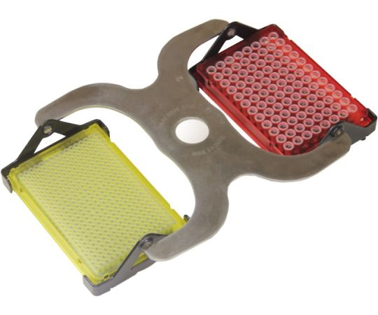 ELMI �ץ졼�ȡ�2���ѥ������� 6M.04 1��