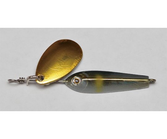 ジャクソン エディ　3　UAY（アユ） 1個