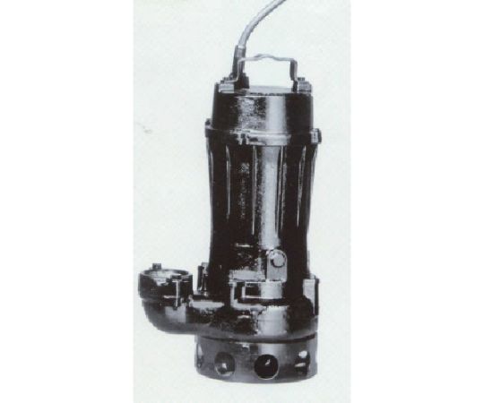 寺田ポンプ製作所 汚物用水中ポンプ　1.5kw　全揚程10.0m　60Hz TCN6-615 60HZ 1台