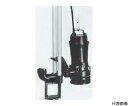 寺田ポンプ製作所 汚物用水中ポンプ 3.7kw 全揚程11.8m 60Hz TCN6D-637 60HZ 1台