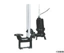 寺田ポンプ製作所 汚物用水中ポンプ 2.2kw 全揚程11.0m 50Hz TCVS6D-522 50HZ 1台