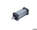 日本精器 アルミチューブシリンダ 150×300 BN-6105-S-150-B-300 1本