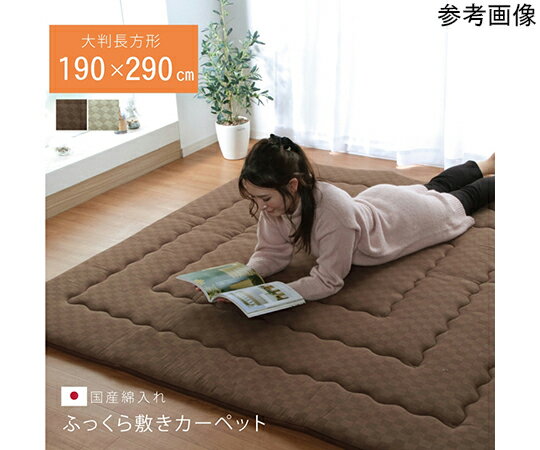 ƥå ֥å饤ȡϥ졼󥫥åȥե륿դϡʥեȥ˥ס󥻥ȥס385nm UV-S...