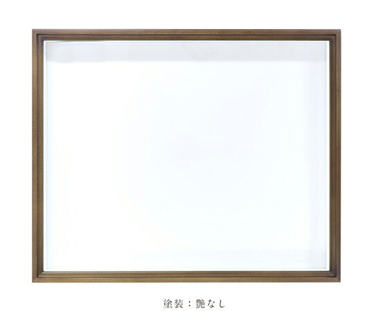 Shop de clinic楽天市場店のアズワン ほお材　N型　ドイツ箱（標本箱）　塗装艶消　UVガラス　5箱セット 260F 1セット(5箱入)｜アングル3