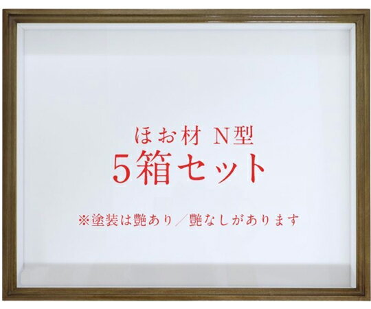 アズワン ほお材　N型　ドイツ箱（標本箱）　塗装艶消　普通ガラス　5箱セット 255F 1セット(5箱入)