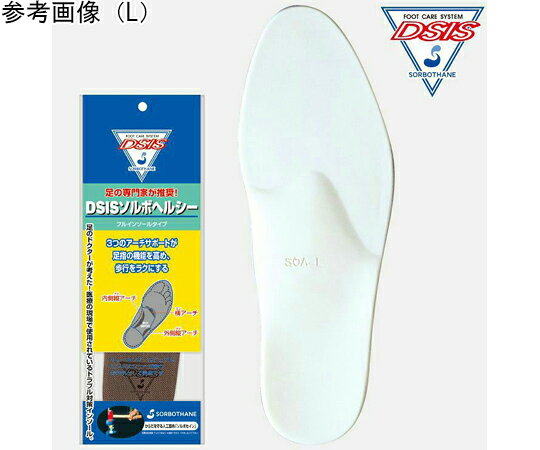 三進興産 DSISソルボヘルシー　フルインソール　グレー　M 1足