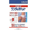 阿蘇製薬 デルガード ワンタッチパッド Mサイズ 20枚入 4970883006252 1箱(20枚入)