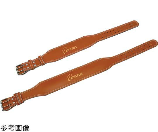 トーエイライト ウエイトトレーニングベルト　ウエスト60〜80cm H7454M 1本