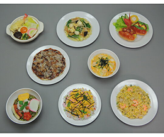 イワイサンプル 糖尿病フリーチョイス「主食」 1式セット （磁石なし） 20 1セット