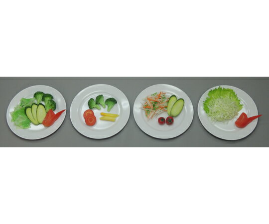 イワイサンプル 糖尿病フリーチョイス「付け合せ野菜」 1式セット （磁石なし） 22 1セット