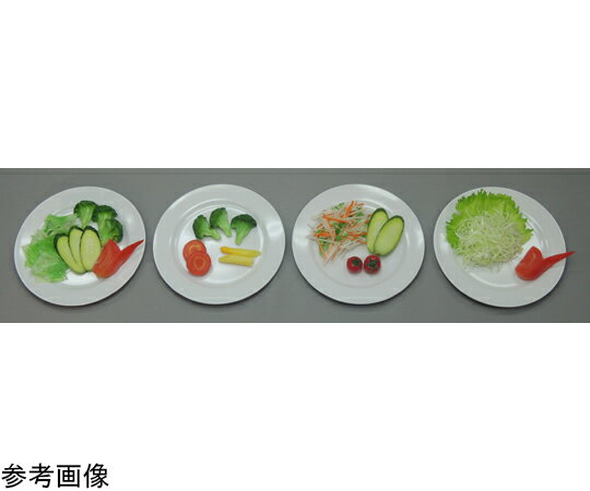 イワイサンプル 糖尿病フリーチョイス「付け合せ野菜」 付け合せ野菜 A （磁石なし） 22-1 1個