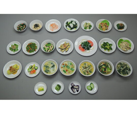 イワイサンプル 糖尿病フリーチョイス「副菜5」 1式セット （磁石なし） 28 1セット