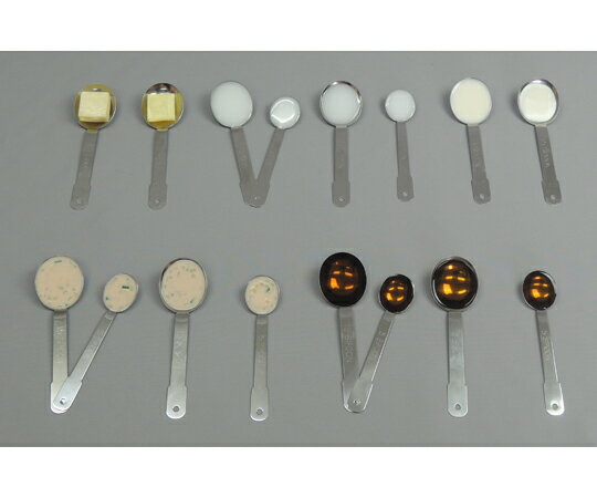 イワイサンプル 糖尿病フリーチョイス「油脂・ドレッシング」 1式セット （磁石付） 31 1セット