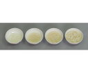 イワイサンプル 離乳食・発達段階別素材単品 うどん 4種/1式セット （磁石なし） 44R-X 1セット