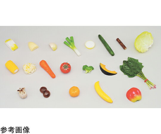 イワイサンプル 学校給食指導用・食品モデル 食材 白菜 40g 磁石付 55G-1 1個