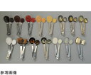 イワイサンプル 糖尿病調味料・油脂 カレールウ (磁石付) IWT-10 1個