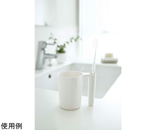 ����¶� ����֥顼���ȥ������֥饷������� �ߥ��� �ۥ磻�� 2216 1��