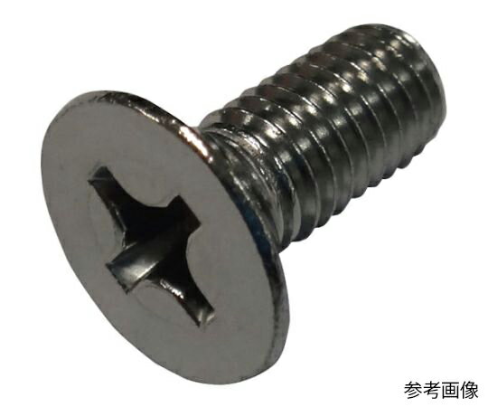 コノエ 皿頭小ねじ ステンレス M10×50 100本入 FLATSS-SUS-1050-100P 100本入