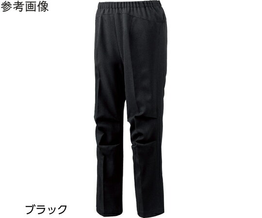 ケアファッション 座・ビューティフォーパンツ（婦人）ベージュ LL 820001 1個