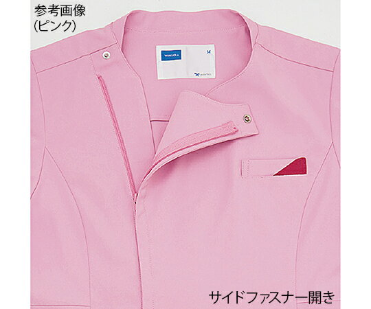 ����Ʋ ��ǥ�����������֡��ۥ磻���롡�ԥ󥯡�3L WH12095 1��