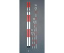 エスコ 30cmピンポール(10本) EA720MF-11 1箱