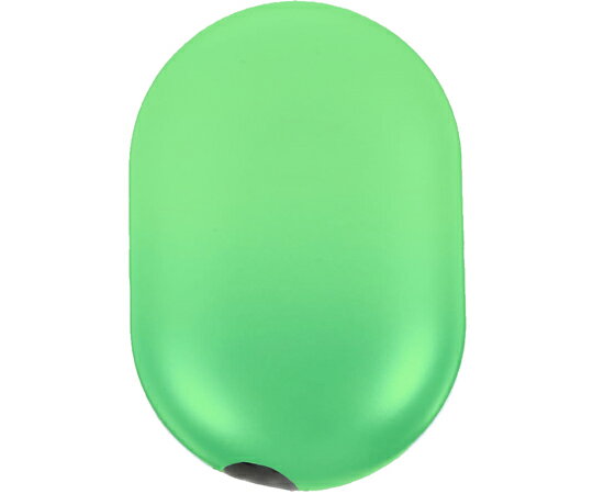 ビットストロング 紫外線殺菌・歯ブラシケース（ソリッド・グリーン） BS-MT-018_SG 1個