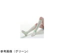 グンゼ LEG SCIENCE（レッグサイエンス） グリーン M 10足入 KBS001-M 10足入