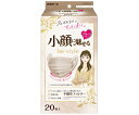 白元アース ビースタイル プリーツタイプ ふつうサイズ ミルクティーベージュ 20枚×32箱入 58245-0 1ケース(20枚×32箱入)(4)
