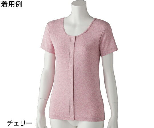 ケアファッション 婦人フライス杢半袖 ホックインナー チェリー M 97609 1枚