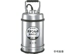 寺田ポンプ製作所 ステンレス水中ポンプ (SUS304)底水用 0.25kw 全揚程最高9m CS-250L 60HZ 1台
