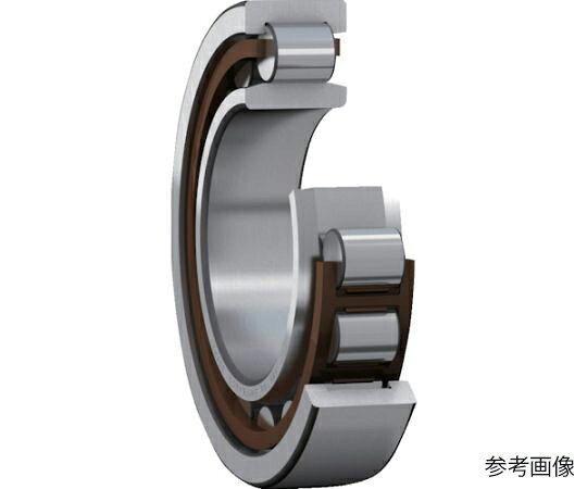 日本エスケイエフ 単列円筒ころ軸受 NU型 内径55mmX外径90mmX幅18mm NU 1011 ECP 1個