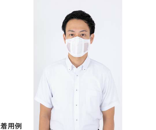 ��ǥ����롦������ �䥤������åޥ��� AGSMMS003-01 1��