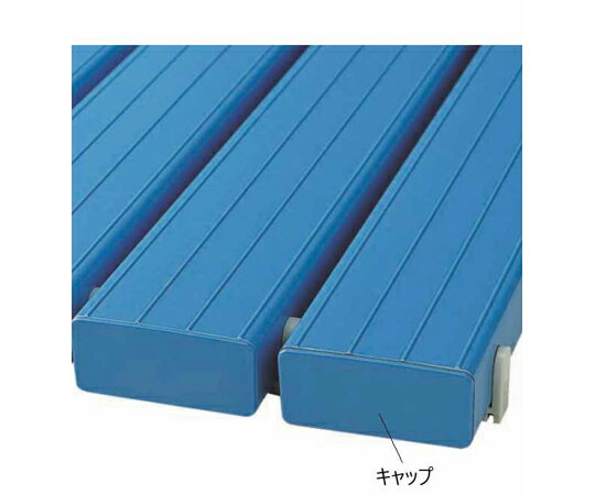 ���껺�ȡʥ���ɥ�� YS���顼���Υ� ���̥���ɥ���å� �֥롼 F-198-BL 1��