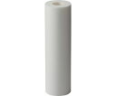 アイオン カネフィールR 250mm 公称精度25μm (2本/パック) 25R-2410 1パック(2本入)(4)