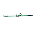 allsafe ベルト荷締機 ラチェット式デルタリング仕様(軽荷重) R2DR0.5X4 1台
