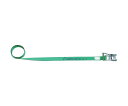 allsafe ベルト荷締機 ラチェット式ラウンドタイプ(軽荷重) R2R4 1台