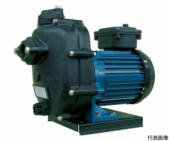 寺田ポンプ製作所 セルプラテクポン　全閉外扇屋外形モートル付　60Hz CMP6-63.7E 60HZ 1台