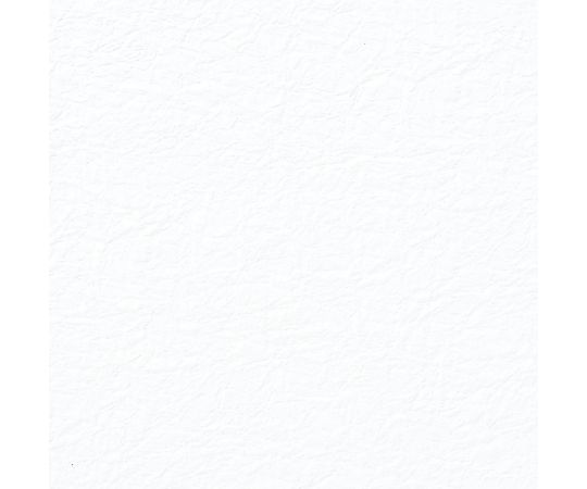 シモジマ HEIKO 和紙 鳥の子 エンボス No.01 白 5枚 002108000 1パック(5枚入)