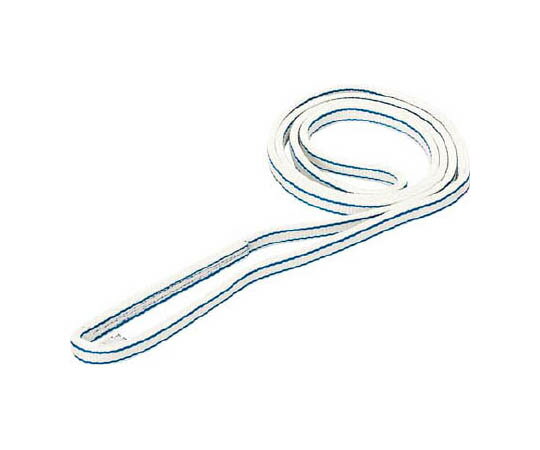 東レインターナショナル ポリエステルスリング　エンドレス形　幅75mm　長さ1．25m PET3N75X1.25 1本