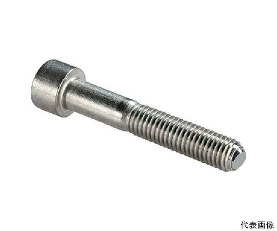 ロームヘルド・ハルダー セッティングスクリュー　ヘッド付セレーション無　ステンレス鋼 22700.0336 1個