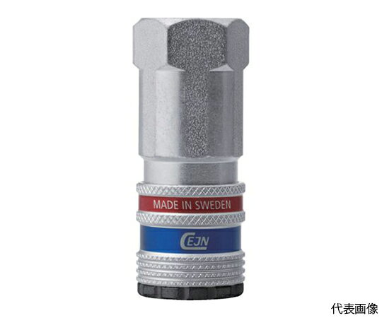セインジャパン シリーズ300　eSafe　カップリング　メネジ　G3/8 10-300-2204 1個