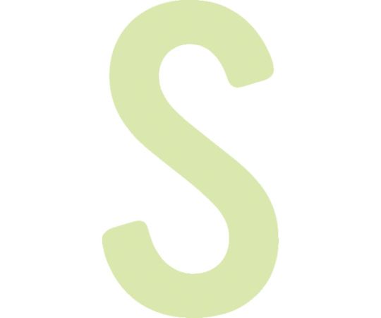アイマーク 非常用標識 中輝度蓄光カッテイング文字 英字 S 粘着シール 50×28mm AILUMI50-S 1枚