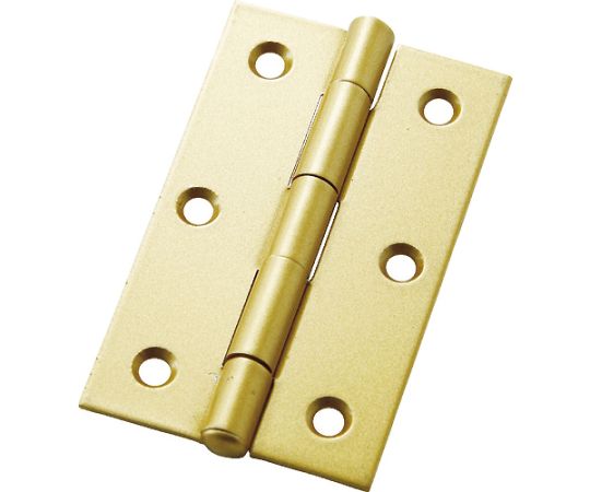 フジテック カラー丁番　袋入り（2枚）・厚口76mm・ゴールド B-11045 1袋(2個入)