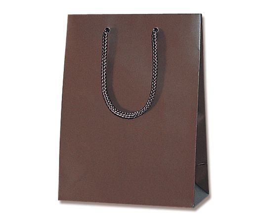 HEIKO 手提げ紙袋 ブライトバッグ T-3 チョコブラウン（マットタイプ） 10枚 006143170 1パック(10枚入)