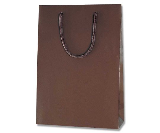 HEIKO 手提げ紙袋 ブライトバッグ SWT チョコブラウン（マットタイプ） 10枚 006138270 1パック(10枚入)