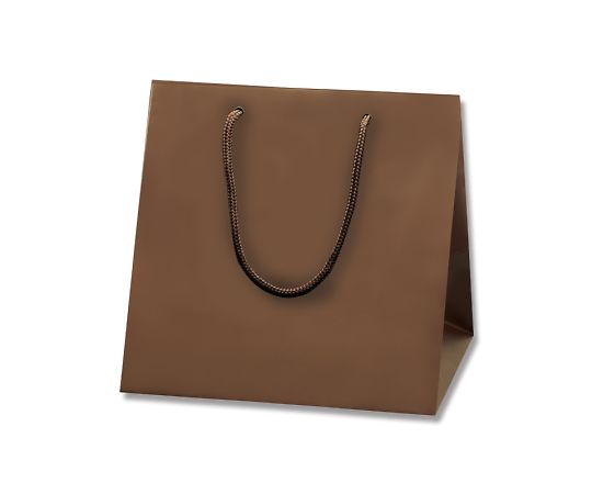 HEIKO 手提げ紙袋 ブライトバッグ C2 チョコブラウン（マットタイプ） 10枚 006459602 1パック(10枚入)