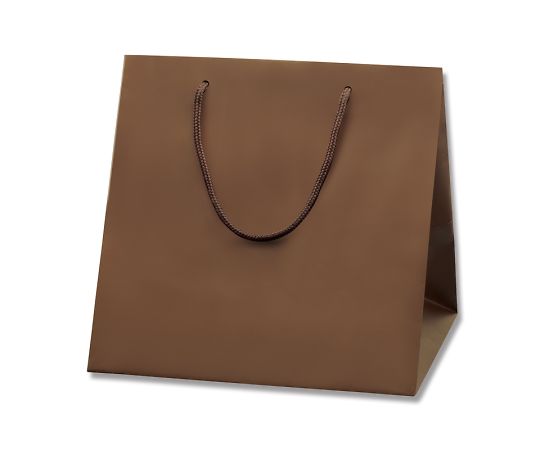 HEIKO 手提げ紙袋 ブライトバッグ C1 チョコブラウン（マットタイプ） 10枚 006459502 1パック(10枚入)