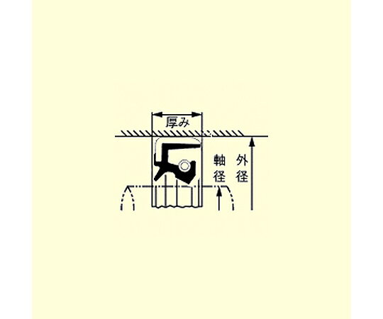 Shop de clinic楽天市場店のアズワン オイルシール（タイプ5/ニトリル）　45×68×12mm EA423TD-45F 1枚｜アングル3