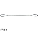 オーエッチ工業 OUTアルミロックワイヤー ワイヤー直径(mm):Φ6 長さ(m):1.5 アイ寸法(mm):160 OLW6-15 1個(4)